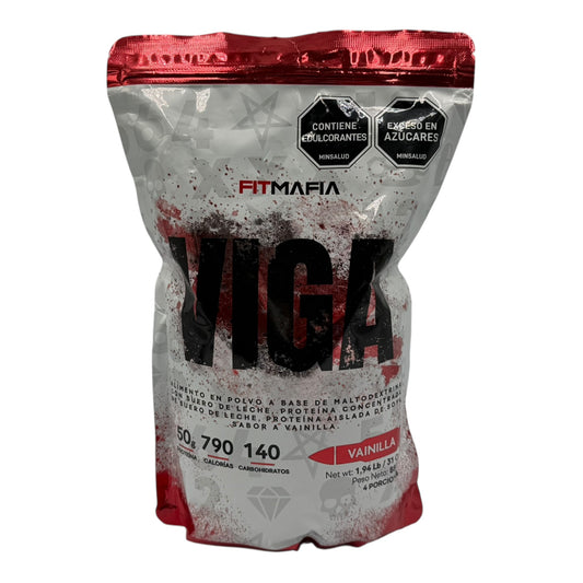 viga1